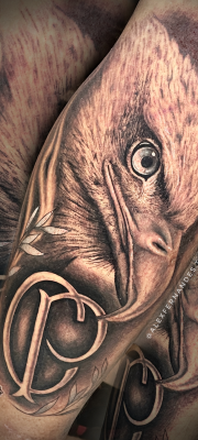 61 Sem Título_20230427003954